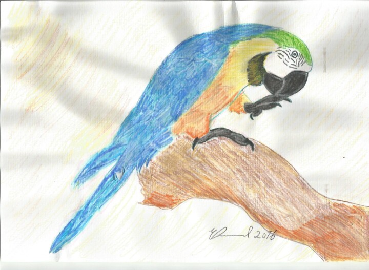 A ave azul Brasil 绘画, 4.3x3.1 in