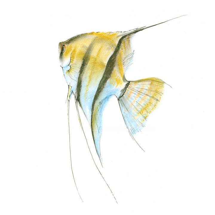 SKALAR 4 绘画, 8.3x8.3 in