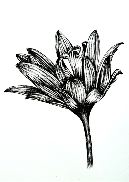 제목이 "Ink Flower"인 그림 Polina Turgunova로, 원작, 잉크