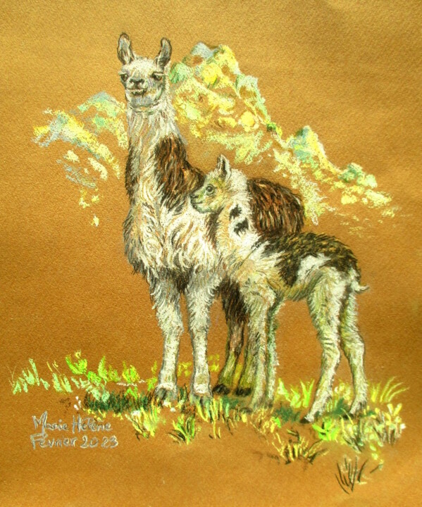 Les lamas 图画, 12.6x9.5 in