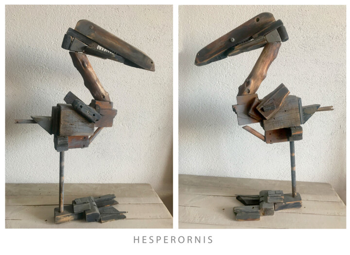 Hesperornis 雕塑, 20.5x14.6 in