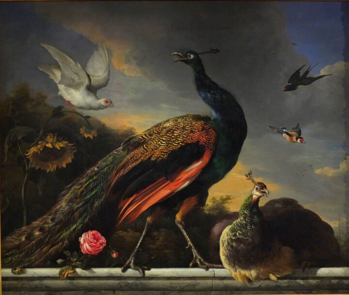 Painting titled "Paons, mâles et fem…" by Melchior D'Hondecoeter, Original Artwork, Oil