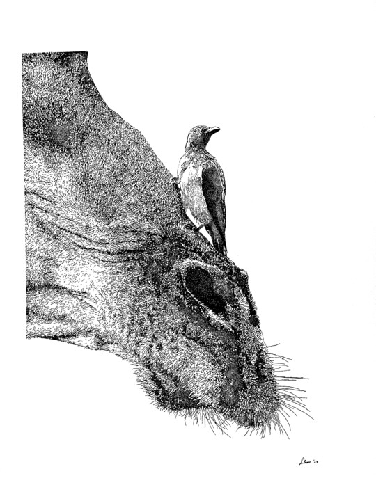 Giraffe 图画, 17.4x11.7 in