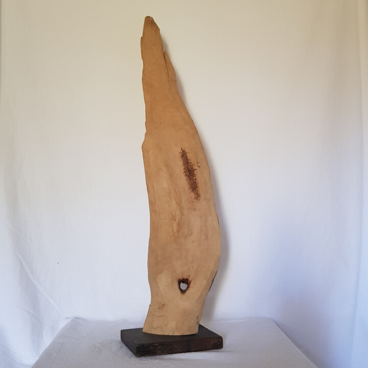 雕塑,  24x5.3 in 