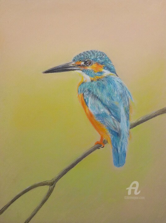 Eisvogel 图画, 12.6x9.5 in