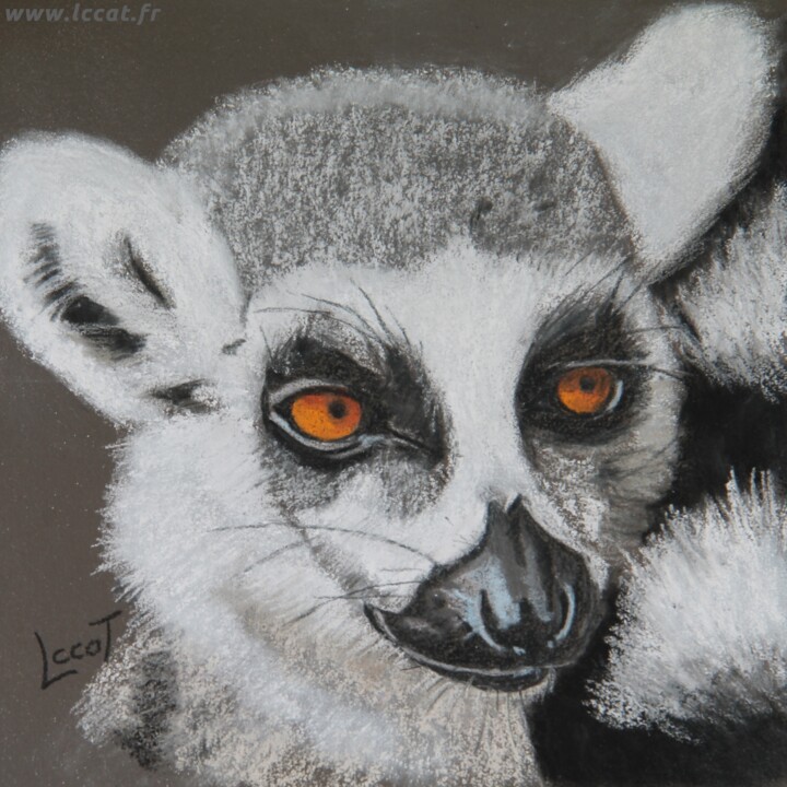 Peinture intitulée "Le maki catta" par Catherine Costet (Lccat), Œuvre d'art originale, Pastel