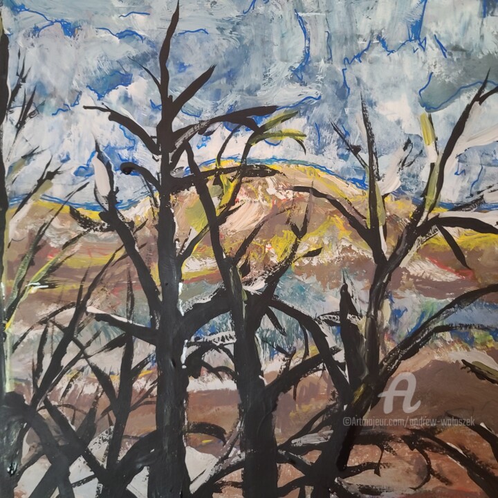 Additional views 3