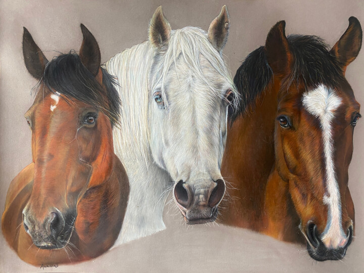 Hommage 图画, 19.7x27.6 in