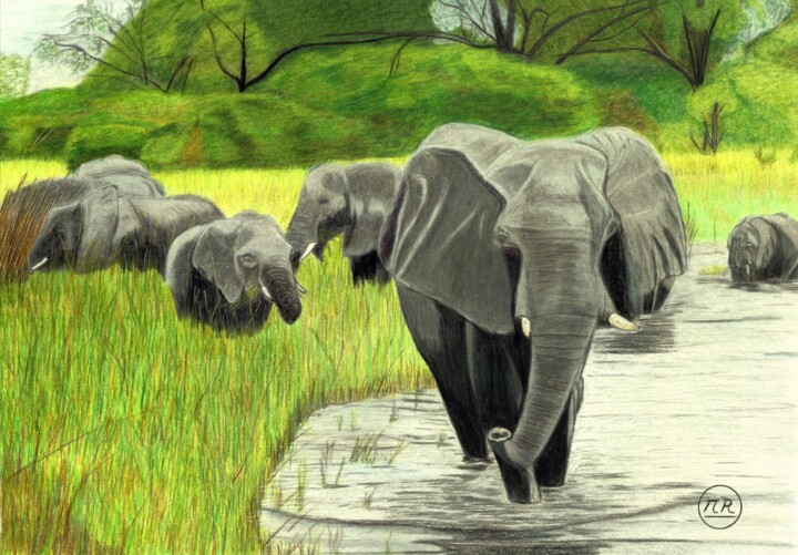 Eléphants en balade 图画, 11x15.8 in