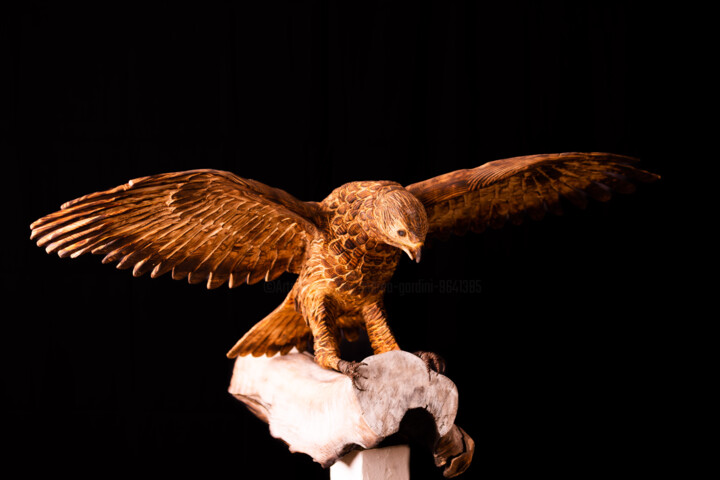 Sculpture titled "Poiana" by Andrea Gardini, Original Artwork, Wood
