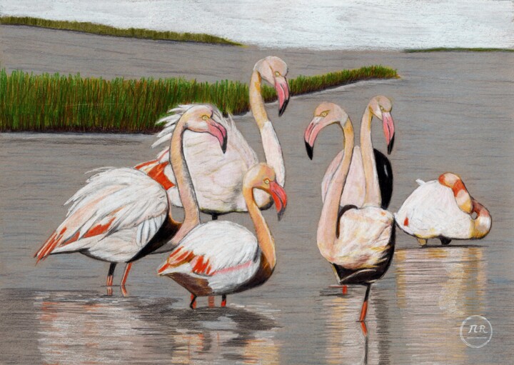 La grâce éblouissante du Flamant Rose de Camargue. 图画, 11x15.8 in