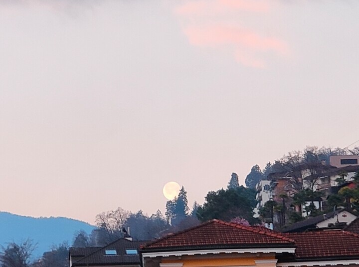 Photography titled "Luna tra i rami" by Orvant, Original Artwork, Digital Photography