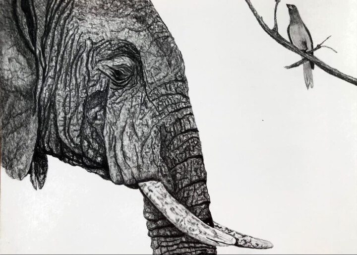 symbiose animalière 그림, 5.9x8.3 in