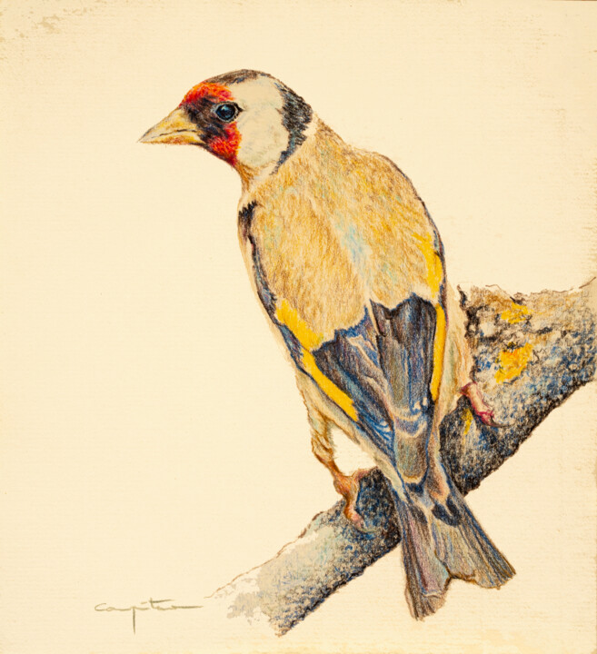 图画,  9.1x8.3 in 