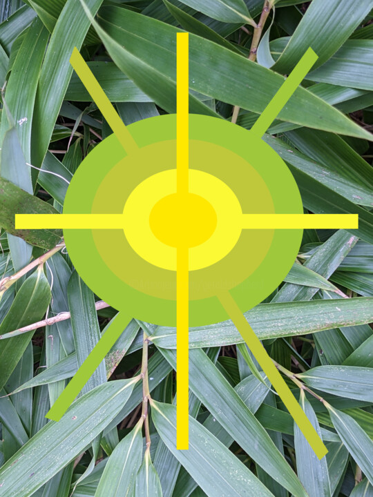 Digital Arts titled "Bamboo" by Gerald Shepherd F.F.P.S., Original Artwork, Digital Painting