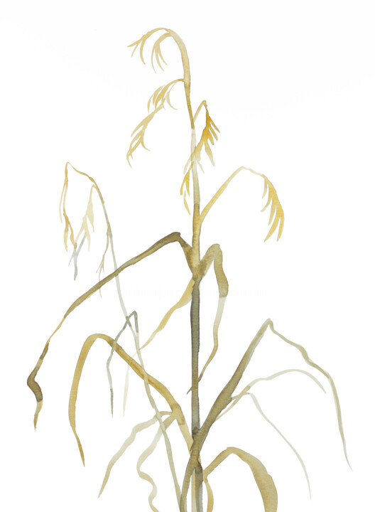 Painting titled "Grass Study No. 8" by Elizabeth Becker, Original Artwork, Watercolor
