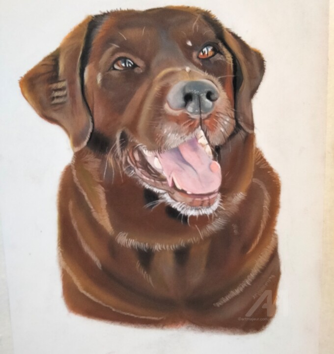 Labrador 图画, 15.8x11.8 in