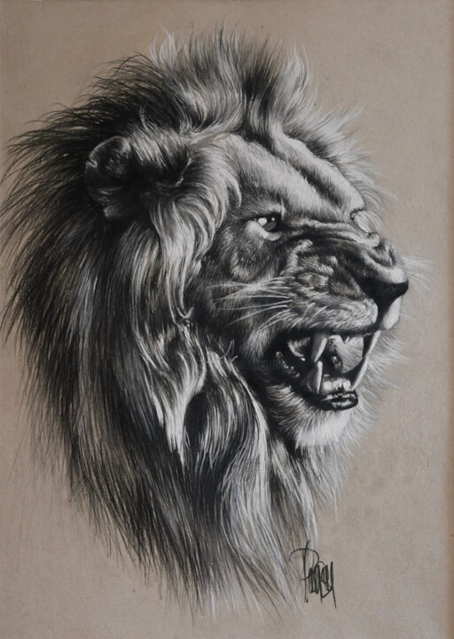 Wildcat smile 绘画, 20.5x14.6 in