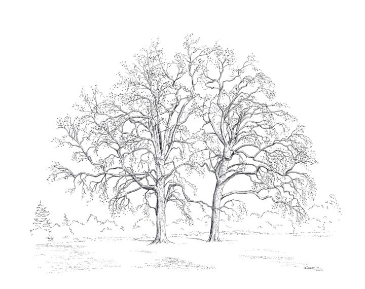 Les deux frères Drawing, 15.8x19.7 in