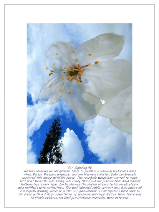 Digital Arts titled "SCF Sighting #6" by Ken Grzesik, Original Artwork, Digital Photography