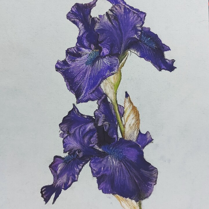 绘画,  14.6x11.8 in 