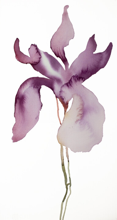 Iris No. 145 绘画, 16x8.5 in