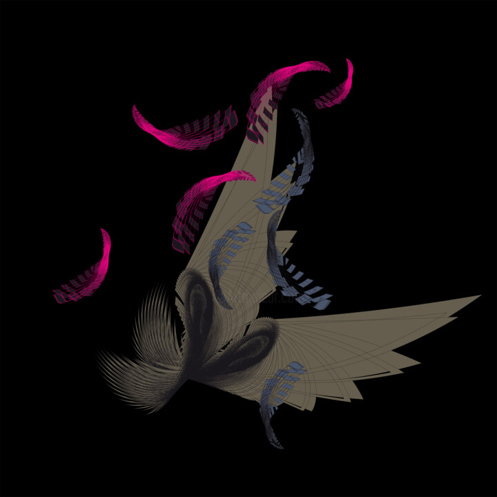 Hummingbird 数字艺术