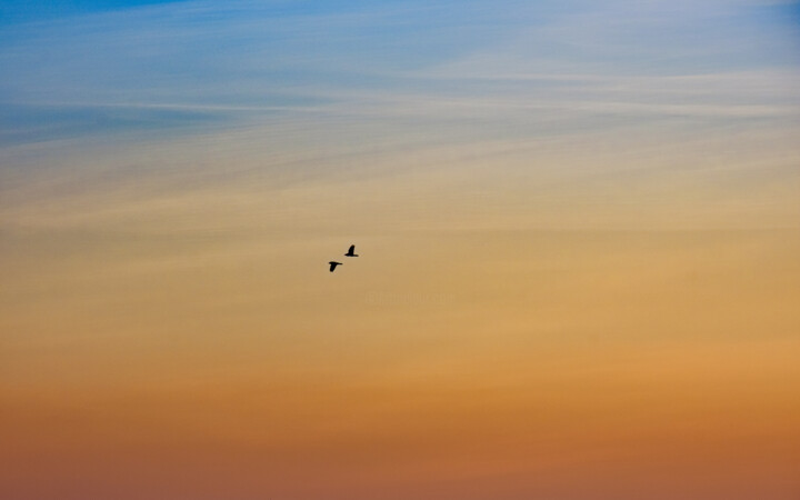 Sky 摄影