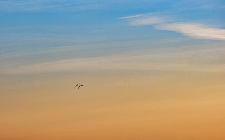 Sky 2 摄影