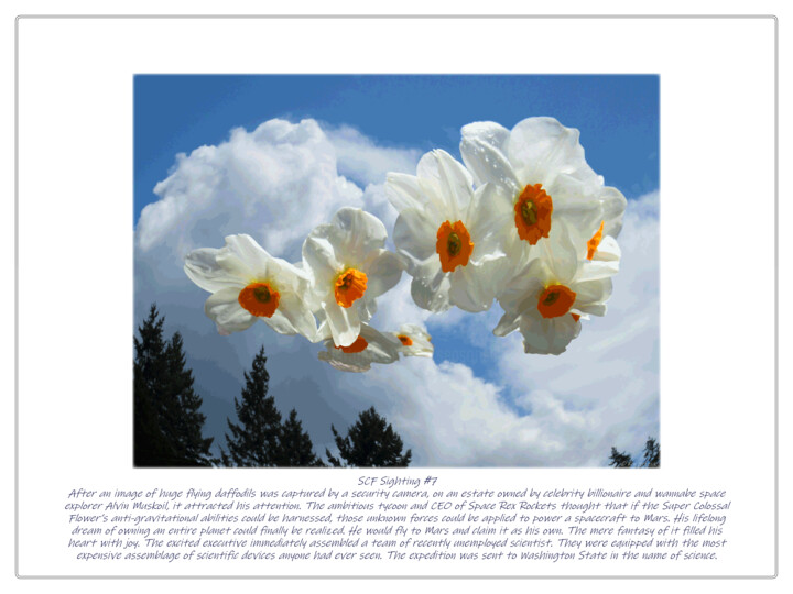Digital Arts titled "SCF Sighting #7" by Ken Grzesik, Original Artwork, Digital Photography