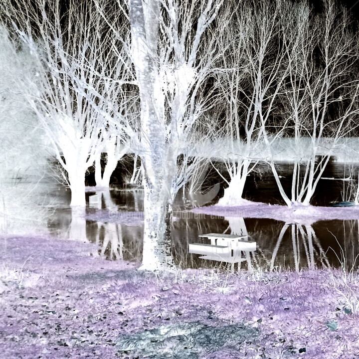 Photography titled "au bord de la Loire…" by Laurent Chabrillat, Original Artwork, Digital Photography Mounted on Aluminium