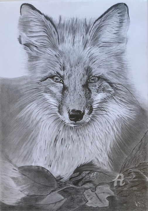 Le Renard 图画, 15.8x11.8 in