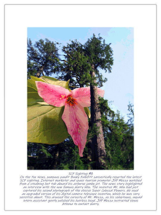 Digital Arts titled "SCF Sighting #8" by Ken Grzesik, Original Artwork, Manipulated Photography
