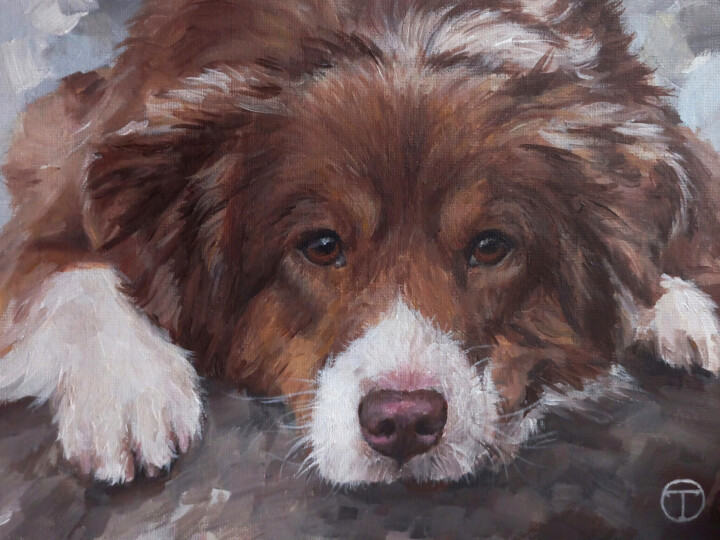 绘画 标题为“Australian Shepherd…” 由Olia Tomkova, 原创艺术品, 丙烯