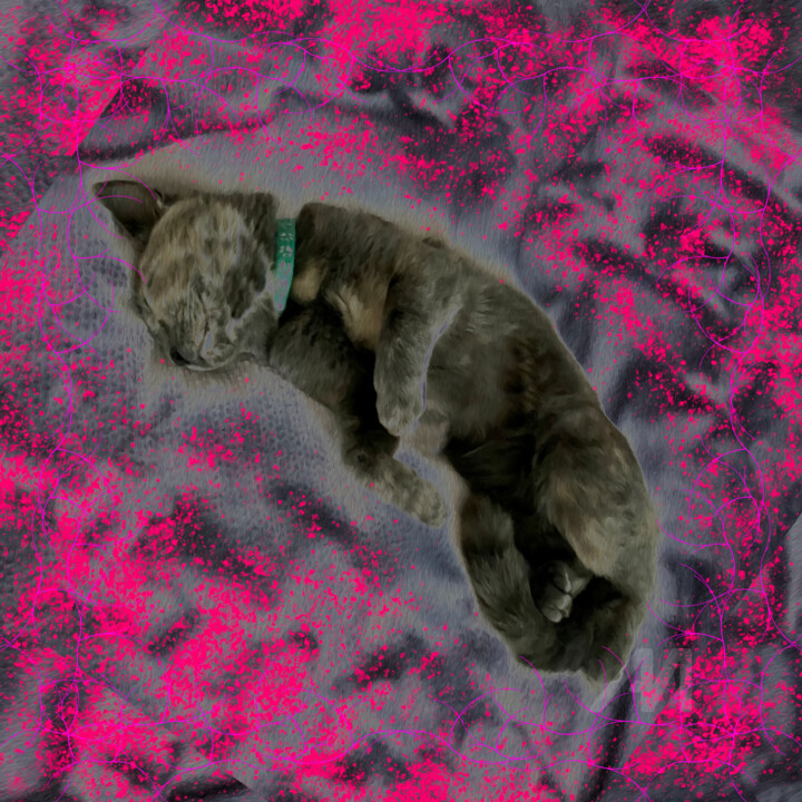 Calmness. Kitty Sleeping 数字艺术