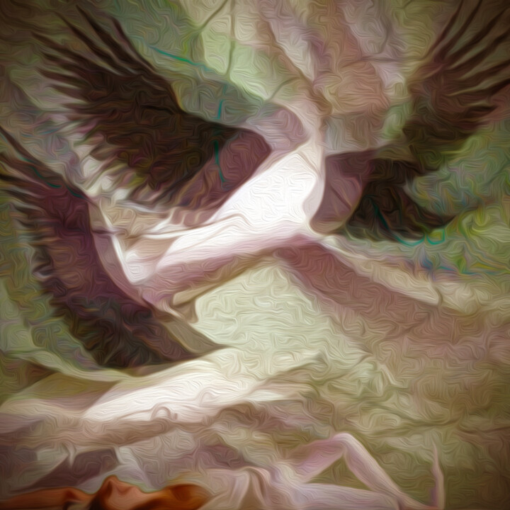 Traum vom Fliegen 数字艺术, 31.5x31.5 in