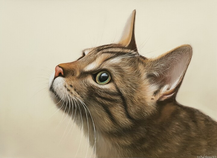 Portrait de chat 绘画, 11.8x15.8 in