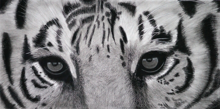 图画,  11x22 in 