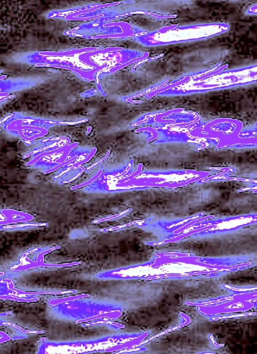 摄影,  24x17.4 in 
