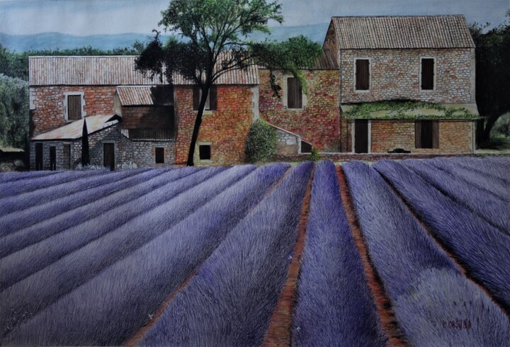 Mas provençal Drawing, 228.4x307.1 in