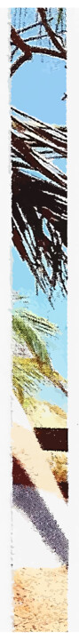 Digital Arts titled "Fisheye 74" by Patrick Allindré, Original Artwork, 2D Digital Work Mounted on Aluminium