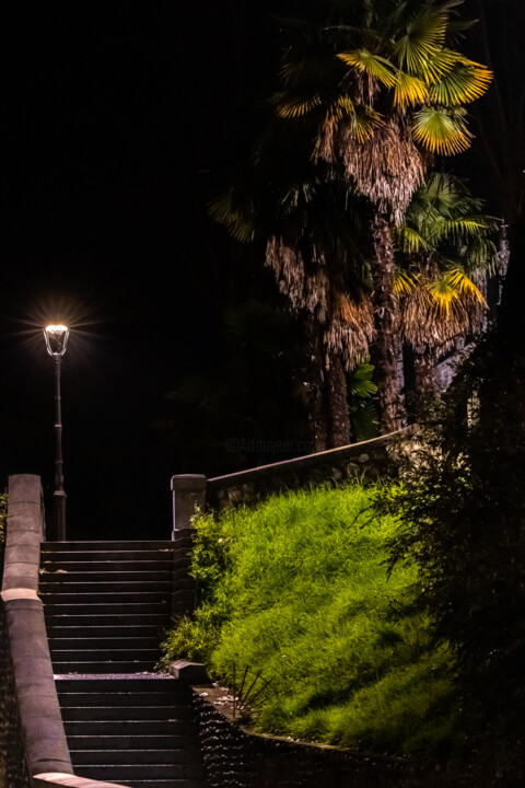 Stairs 摄影