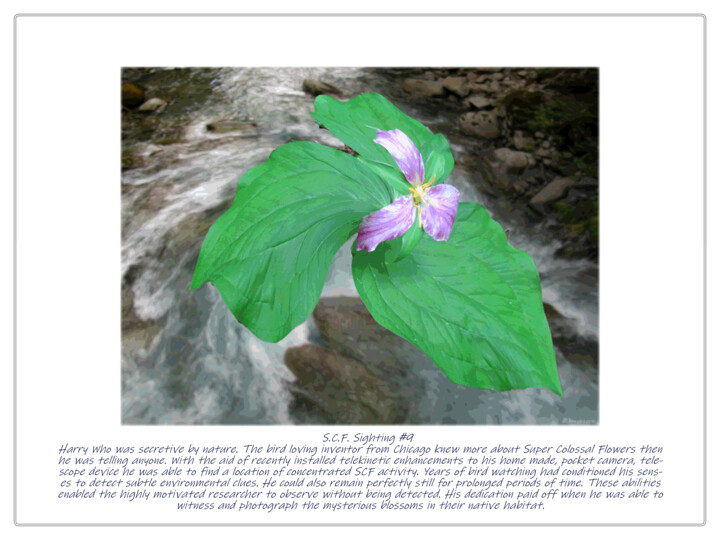 Digital Arts titled "SCF Sighting #9" by Ken Grzesik, Original Artwork, Manipulated Photography