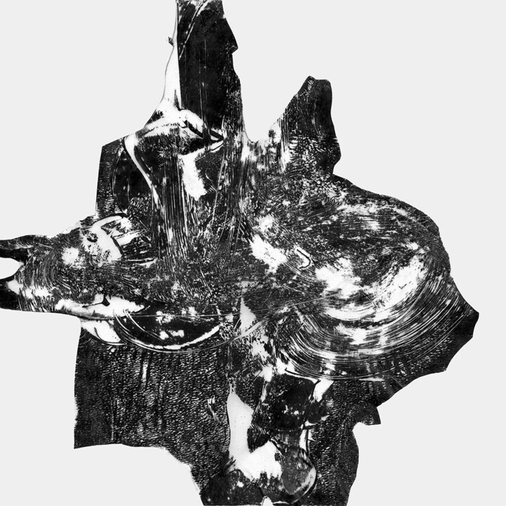 Digitale Kunst getiteld "les ombres (46)" door Henry Pouillon, Origineel Kunstwerk, Monotype
