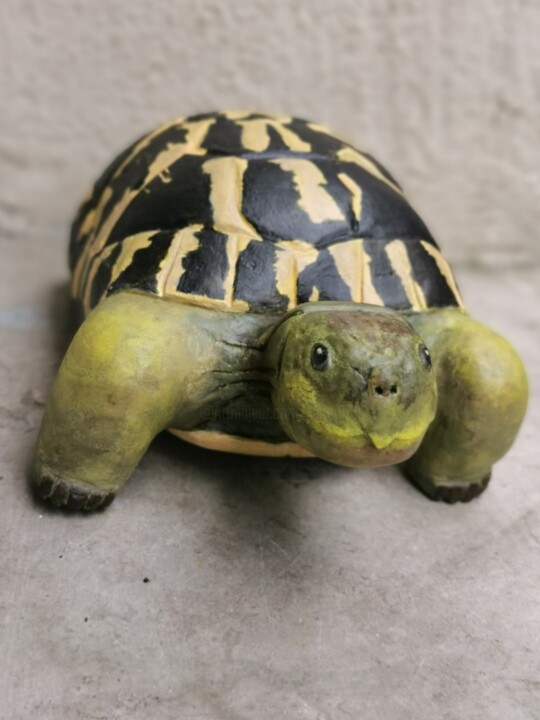 TORTUE HERMANN 雕塑, 3.9x9.1 in