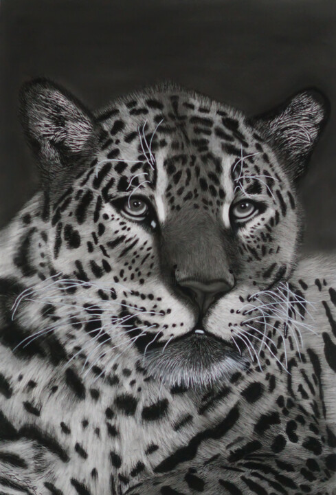 图画,  22x15 in 