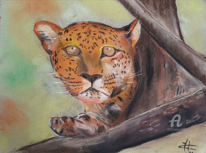 La panthere 图画, 12.6x17.7 in