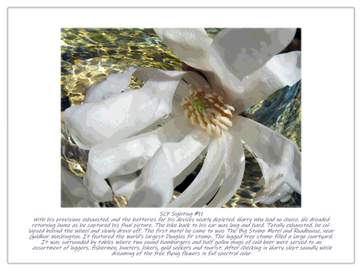 Digital Arts titled "SCF Sighting #11" by Ken Grzesik, Original Artwork, Manipulated Photography