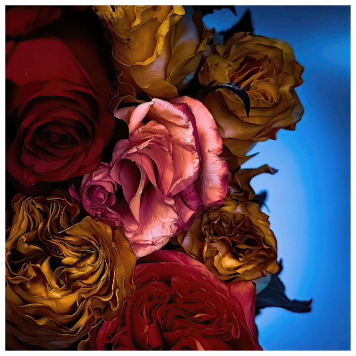 Digital Arts titled "Rosa #6195" by Alexandre Kurcek (Sandro), Original Artwork, Manipulated Photography
