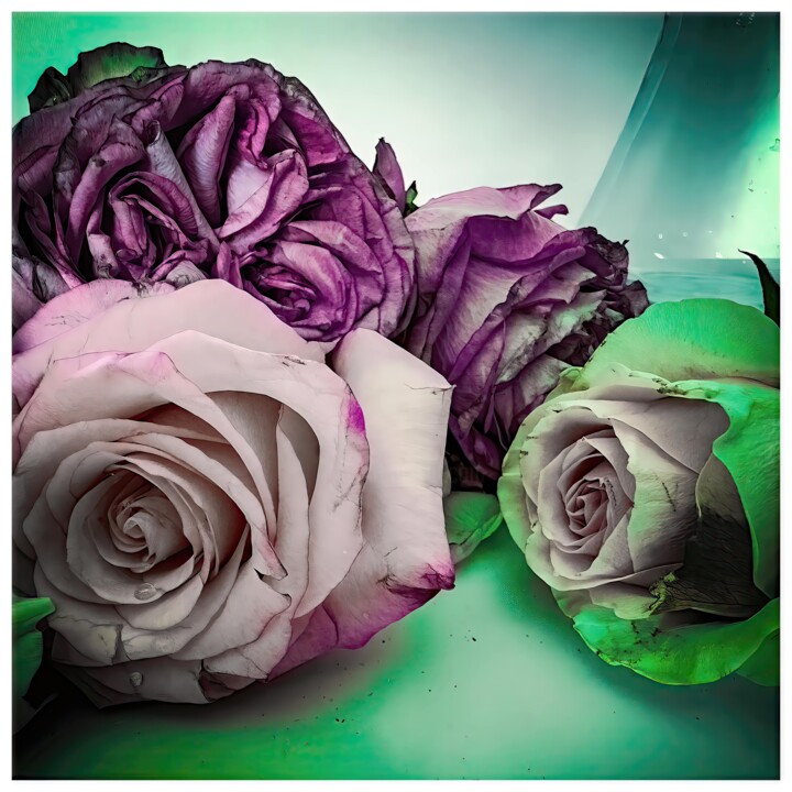 Digital Arts titled "Rosa #4556" by Alexandre Kurcek (Sandro), Original Artwork, Manipulated Photography